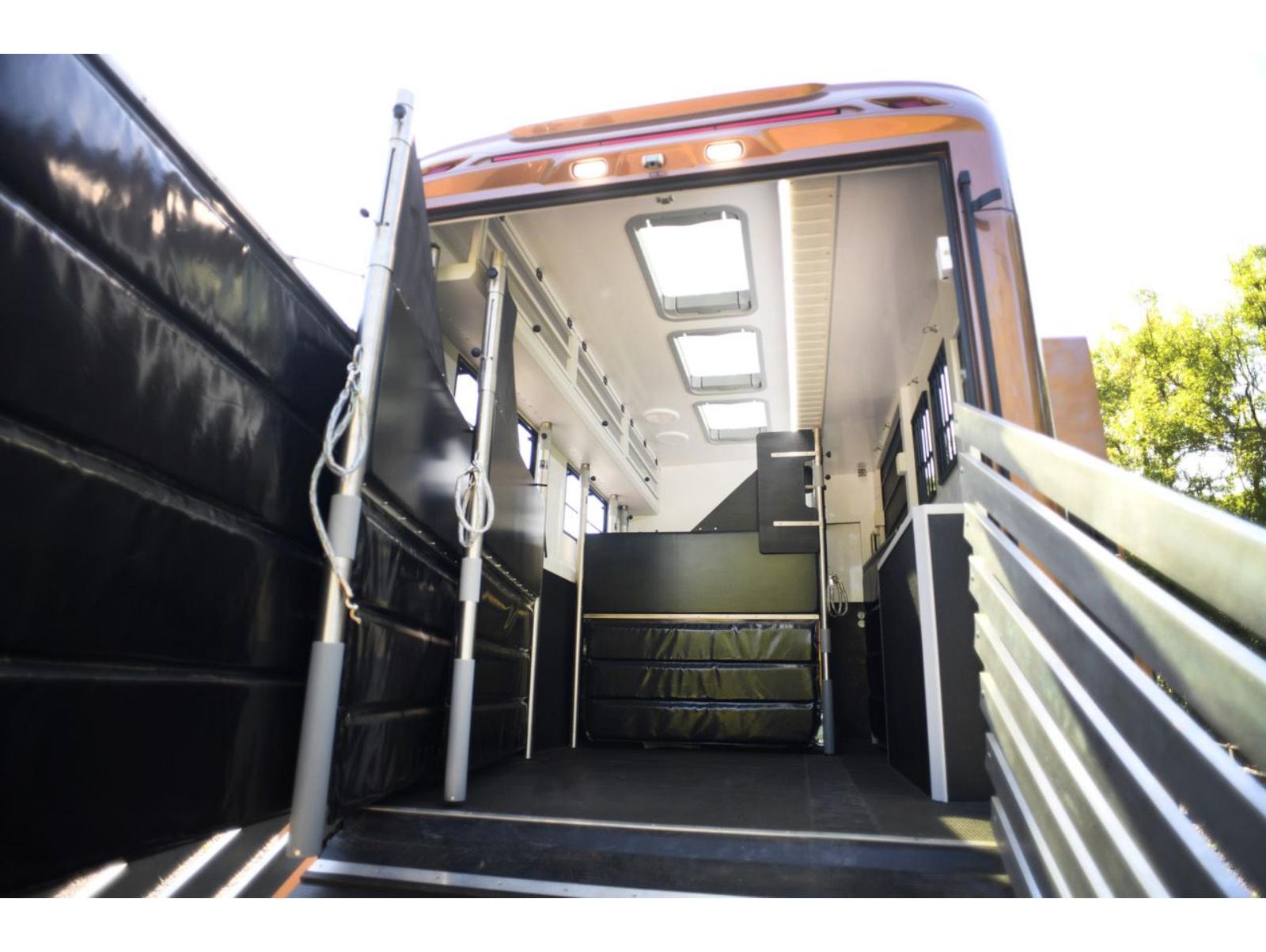 New build Scania Premium Luxury 26-tonne EQ-built horsebox. 5 stall / 6 berth