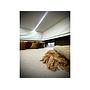 New build Scania Premium Luxury 26-tonne EQ-built horsebox. 5 stall / 6 berth